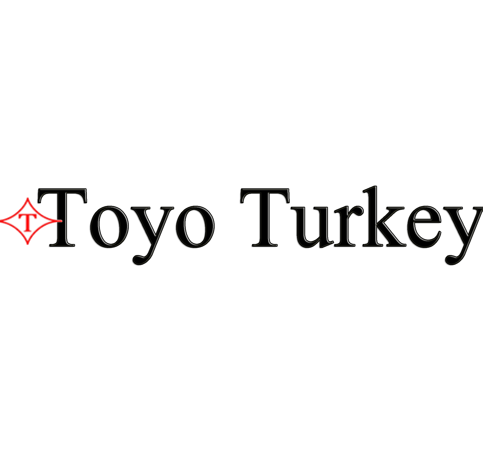 Toyo Turkey